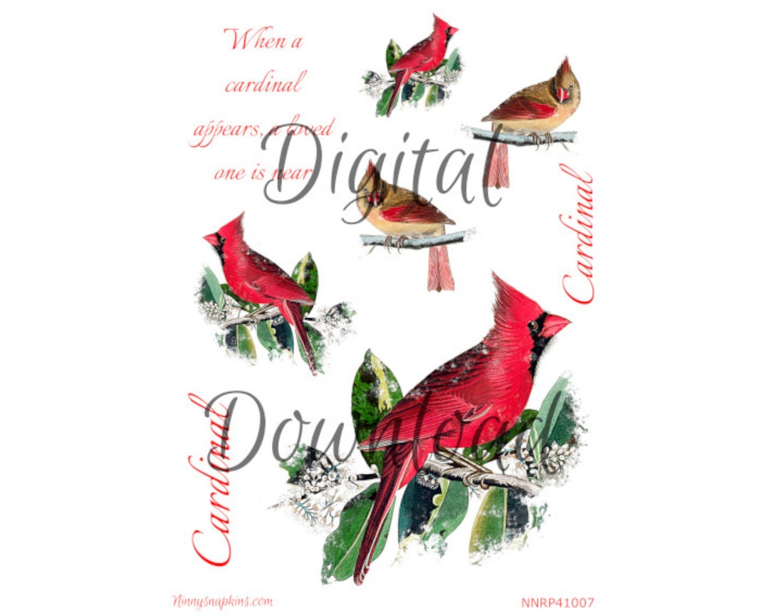 Digital Download A4-ninny's When a Cardinal Appears Collage or ...