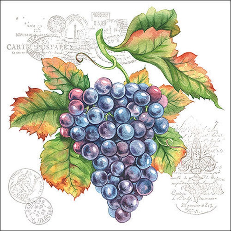 4 Serviettes Napkins tovaglioli Grapes Grape Vine Decoupage 1166