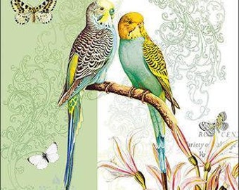 3 Servietten Parakeets Apricot Wellensittiche Napkins Neu 3 Servietten Parakeets Apricot Wellensittiche Napkins Neu