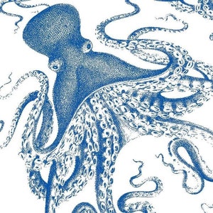 BUY 20 GET 10 OFF Hipster Octopus clipart commercial use animals digital clip art octopus digital images CL1072 Octopi vector graphics