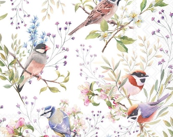 Snijservetten 6,5" (2 stuks) - Busy Birds