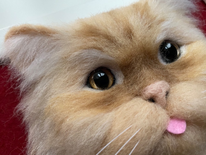 May include: Close-up of a fluffy, light brown and white cat with one eye open and a pink tongue sticking out.