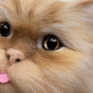 May include: Close-up of a fluffy, light brown and white cat with golden eyes. The cat has its tongue sticking out and a pink nose.