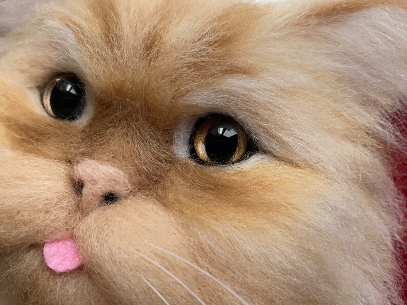May include: Close-up of a fluffy, light brown and white cat with golden eyes. The cat has its tongue sticking out and a pink nose.