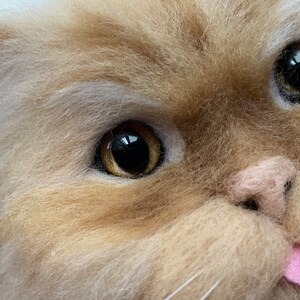 May include: Close-up of a fluffy, light brown cat with white fur around its eyes. The cat has golden eyes and a pink nose. Its tongue is sticking out.
