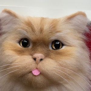 May include: Close-up of a fluffy, light brown and white cat with its tongue sticking out. The cat has large, dark eyes and a pink nose. The cat is framed in a red mat.