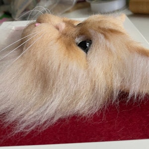 May include: Close-up of a needle felted cat head with a light brown and white fur. The cat has a pink nose and one black eye.