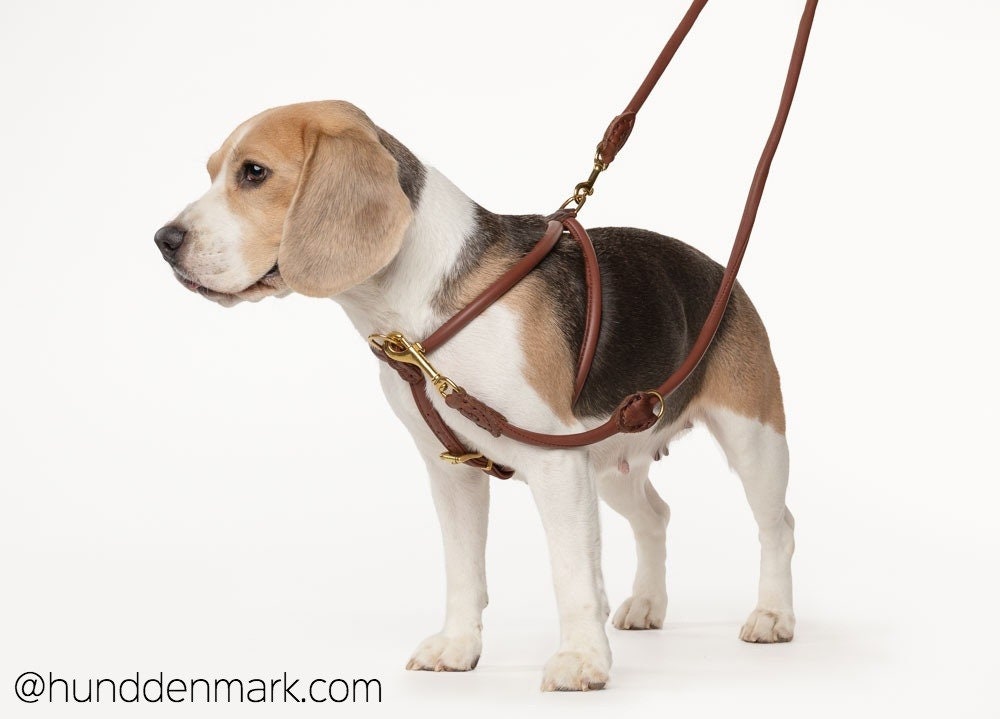 No Pull Rolled Leather Harness Stops Pulling on Leash Etsy
