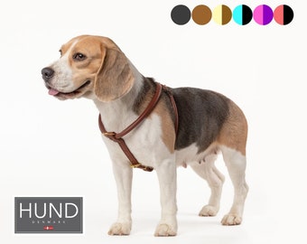 No Pull- Rolled Leather- Harness Stops Pulling on Leash