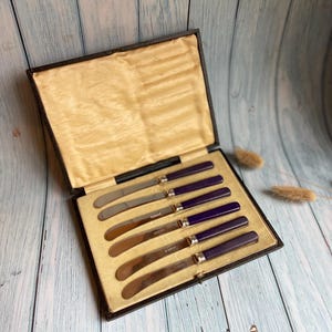 Boxed Set of Six Butter Knives with Purple Celluloid Handles in Velvet and Satin Lined Box