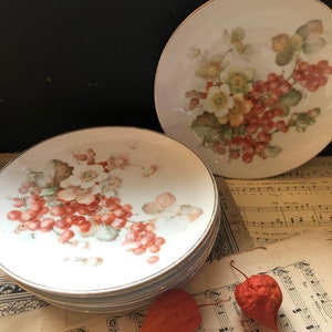 Set of Six Vintage Sevres Plates with a Redcurrant Transfer Print Design by Thomas of Bavaria