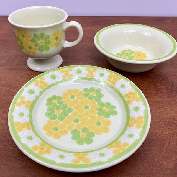 Retro 1970's Franciscan Picnic Pattern Earthenware Various Dinnerware | Sets Sold Separately