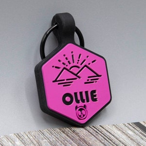 Silicone Silent Personalized Soundless Designer Pet ID Tag - Deep Engraved Double Sided & Engraving Will Last Dog ID Tag Hexagon Sunset