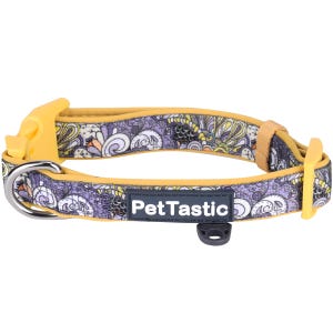 Best Adjustable Padded Dog Collar Durable Soft Heavy Duty Lavender Lemon Paisley Pattern Outdoor Indoor use for girls, boys, puppies, adults