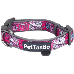 Best Adjustable Padded Dog Collar Durable Soft Heavy Duty Cerise Pink Paisley Pattern Outdoor & Indoor use for girls, boys, puppies, adults