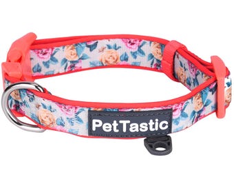 Best Adjustable Padded Dog Collar Durable Soft Heavy Duty Almond Blooming Roses Outdoor & Indoor use for girls, boys, puppies, adults