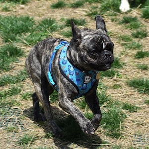 Super Comfort Duo Reversible Mesh Dog Harness Durable Soft Heavy Fashionable Design - Yetis for Pug French Bulldog Boston Terrier