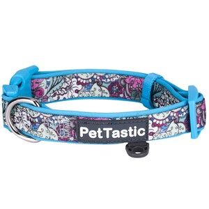 Best Adjustable Padded Dog Collar Durable Soft Heavy Duty Pacific Blue Paisley Pattern Outdoor & Indoor use for girls, boys, puppies, adults
