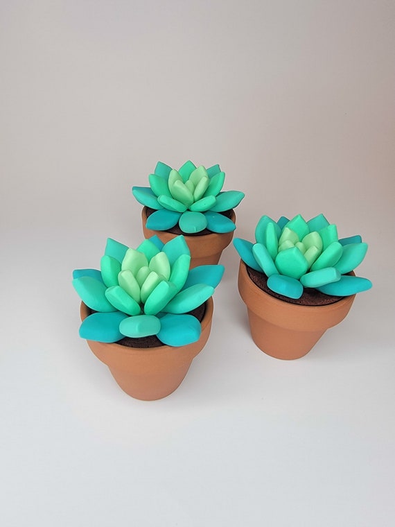 Polymer Clay Succulent in Clay Pot - Etsy