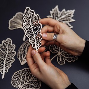 May include: Intricately cut wooden leaf shapes, including oak, maple, and ginkgo, are displayed against a dark background. One leaf is held by a person. The leaves are light-coloured, with detailed vein patterns.