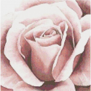 Primer plano de un patrón de punto de cruz rosa rosa, naturaleza, flores, rosa, floral, hermoso, realista