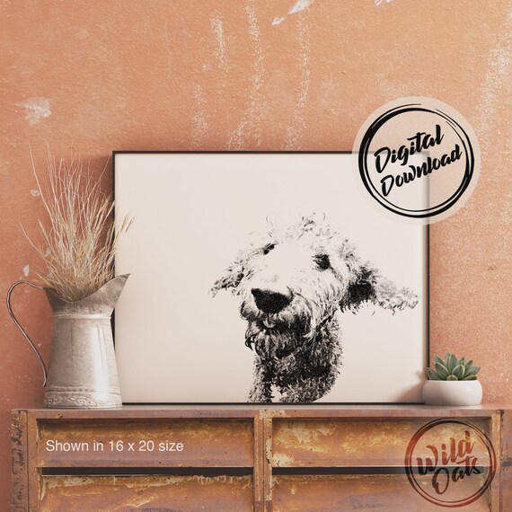 labradoodle wall art