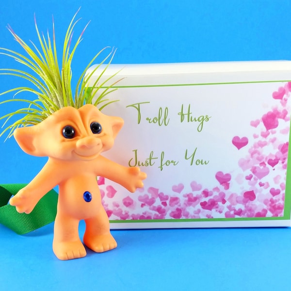 Air Plant Troll Doll Hug , Get Well Gift  Birthday Gift, Girlfriend Gift, Missing You Gift , Lover's Gift , Romantic Gift , Little Girl Gift