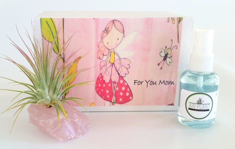 Mother/'s Day Gift Mom/'s Surprise Gift Special Air Plant Gift. Best Mom Ever Gift Air Plant on Rose Quartz Gemstone Air Plant Gift