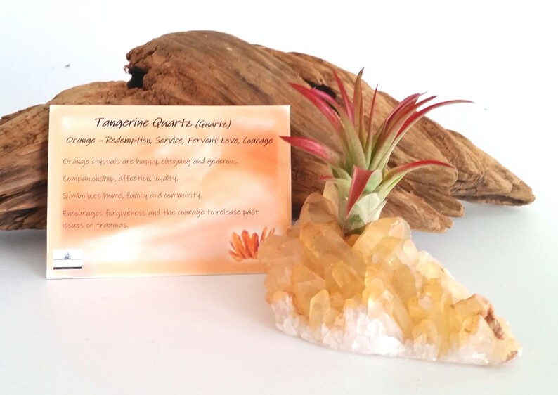 Thank You Gift Friend Gift Buddy Gift Perfect Gift Tangerine Quartz Rock Hound Gift Desk Gift Air Plant Gift Crystal Accessories