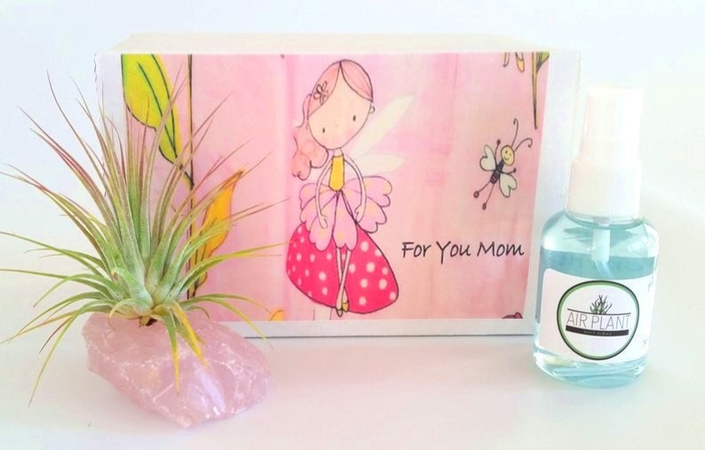 Mother/'s Day Gift Mom/'s Surprise Gift Special Air Plant Gift. Best Mom Ever Gift Air Plant on Rose Quartz Gemstone Air Plant Gift