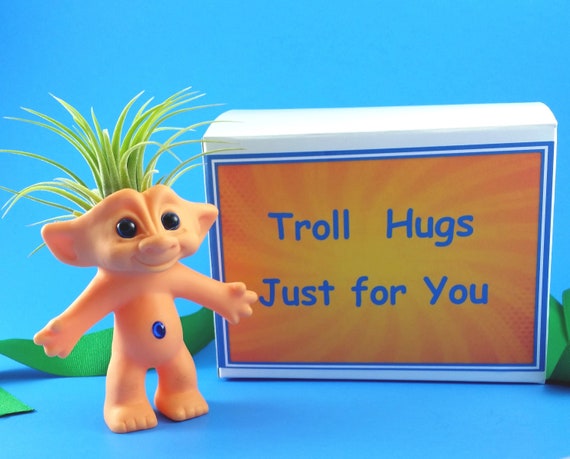 Missing You Gift Get Well Gift Birthday Gift Romantic Gift Girlfriend Gift Lover/'s Gift Air Plant Troll Doll Hug Little Girl Gift