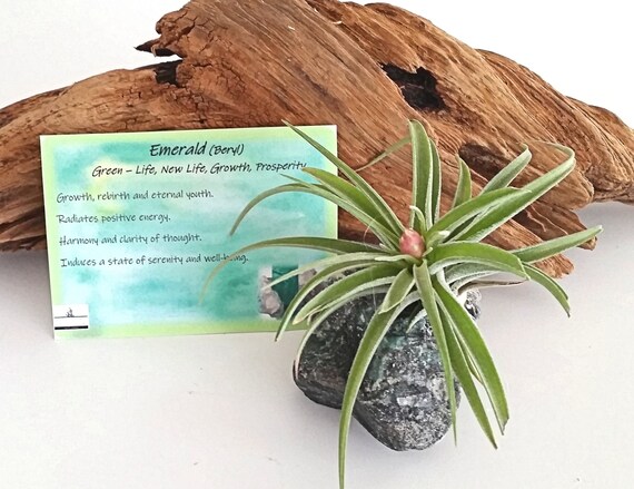 Emerald Gemstone Gift Air Plant Gift Desk Accessory Etsy