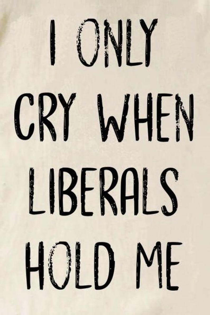 conservative onesie