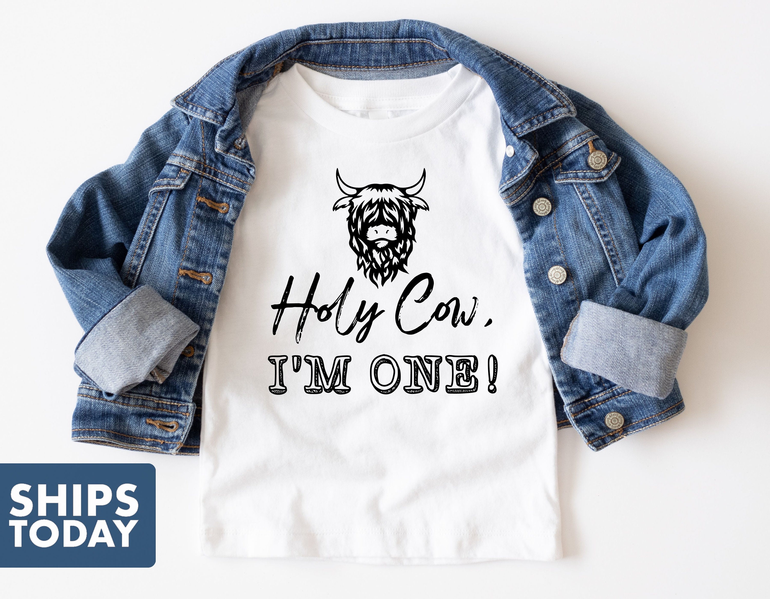 Highland Cow Bamboo Long Sleeve One Piece | 6-12m