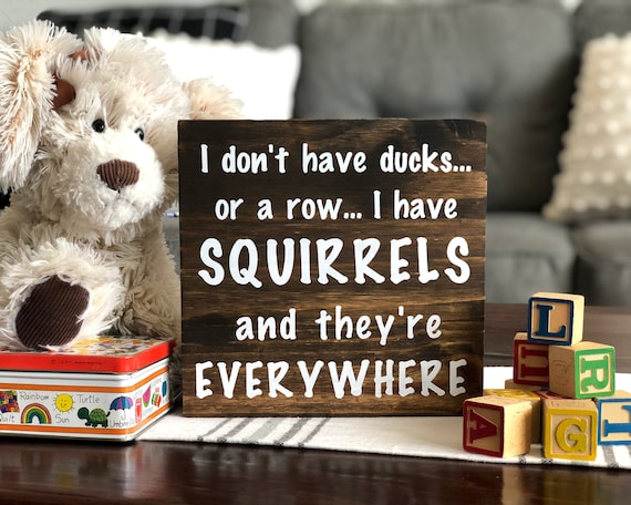 Hand-painted 'I Don't Have Ducks, I Have Squirrels' tabletop sign — the chaotic-life punchline and genuinely handmade finish give it real shelf charm.