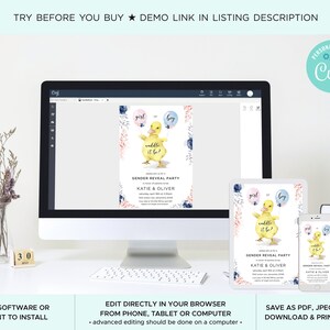 May include: A digital mockup of a gender reveal party invitation featuring a cartoon duck with blue and pink balloons. The invitation text reads "Gender Reveal Party" and "Katie & Oliver".