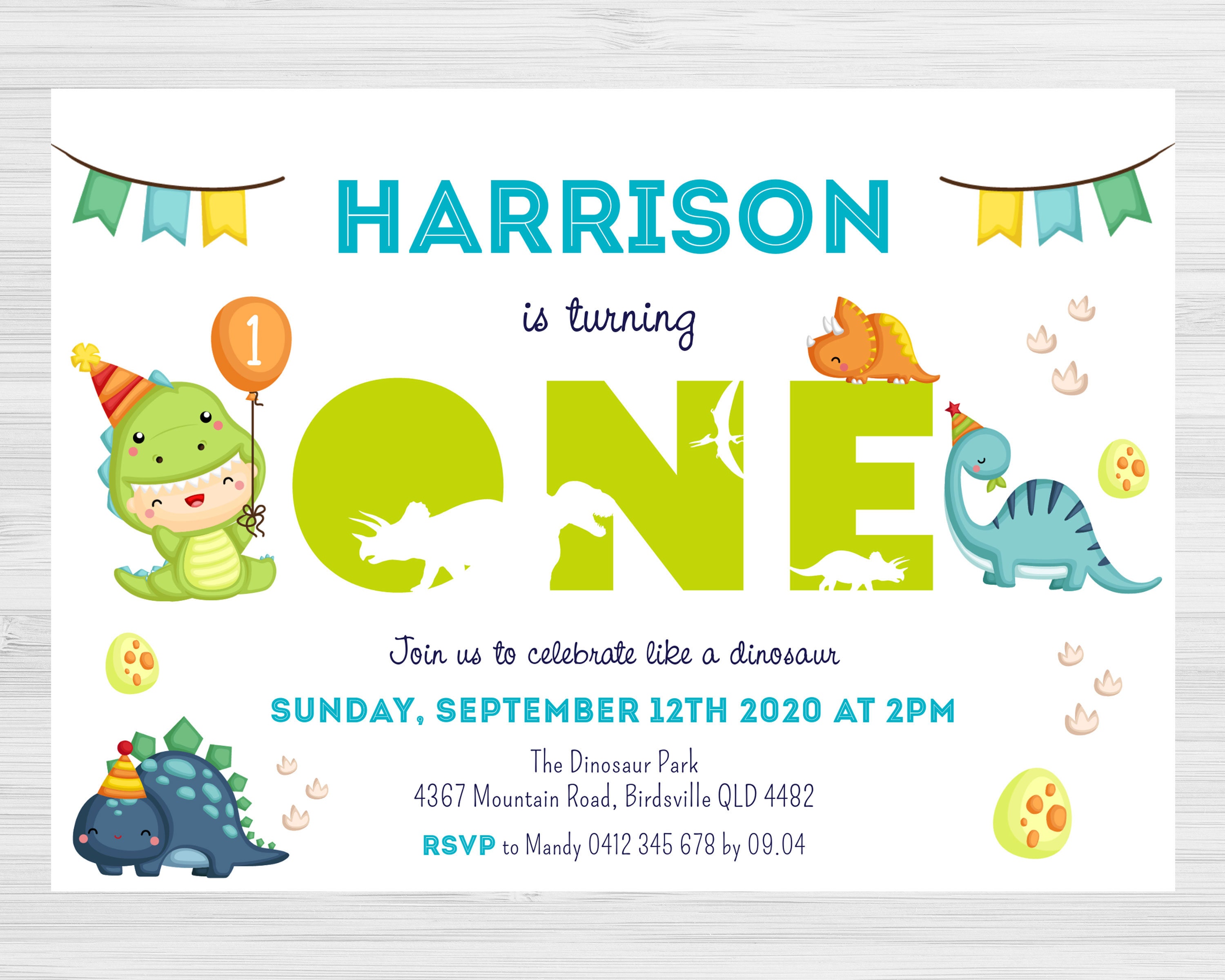 Dinosaur Birthday Invitation One Dinosaur First Birthday Etsy