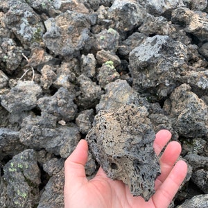 Black Lava Rocks: Natural Volcanic Hardscape for Aquarium & Garden