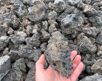 May include: A hand holds a porous, dark gray lava rock, showcasing its textured surface and numerous holes. The background is filled with similar volcanic rocks, creating a natural, geological scene.