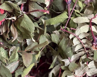 May include: A dense collection of dried rose hips and green leaves with thin, reddish-brown stems. The foliage features serrated edges and a matte texture, while the small, rounded red fruit is partially visible beneath the layered branches.