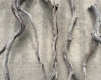 May include: Four pieces of driftwood, each with a unique shape and texture, are arranged on a light gray concrete surface.