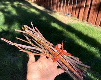 May include: A bundle of small, dried twigs in shades of brown, orange, and red, tied together with orange twine. The twigs are held in a hand against a backdrop of green grass and a brown wooden fence.
