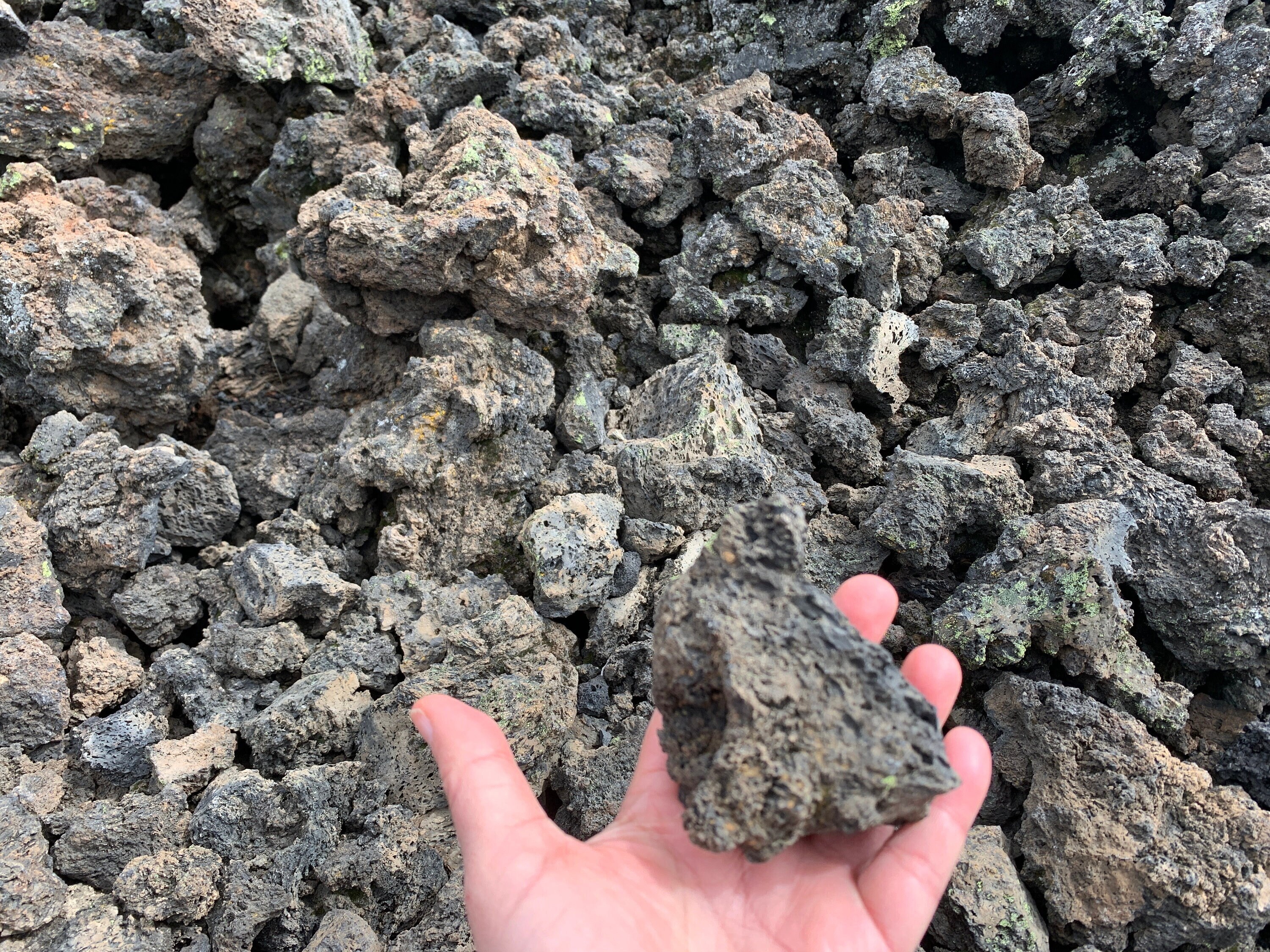 Porous Black Horticultural Lava Rocks, for terrarium drainage