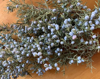 May include: A close-up of a bunch of blue-grey juniper berries on green branches.