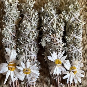Organic SAGE, PNW Green/ Silver Sage, Bundle of Aromatic Sage, Fragrant Sage, Sage for Purification,Fresh or Dry, Ritual project, Holistic,