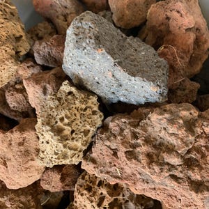 Red Lava Rocks: PNW Aquarium Decoration