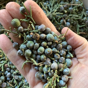 Loose Juniper Berries, Organic Fresh or Dry Preserved Juniper Berries