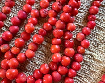 May include: A long strand of small, round, bright red berries strung together. The berries have a slightly textured, matte surface and are arranged in multiple vertical lines, creating a dense, repetitive pattern of vibrant red spheres.
