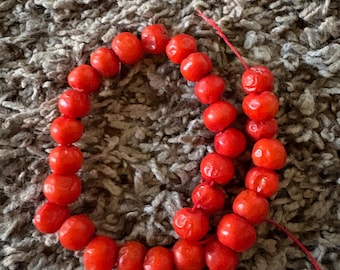 May include: A strand of round, bright red beads with a textured, porous surface. The beads are strung together on a thin red thread, forming a circular shape with a loose end extending outward, showcasing a consistent vibrant color throughout.
