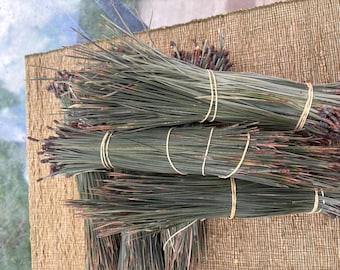 Light green, green long pine needles from PNW , for basket waving, art project